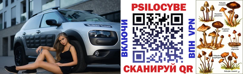 Псилоцибиновые грибы Cubensis  Жигулёвск 